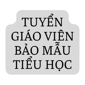 Giáo Viên Bảo Mẫu Tiểu học